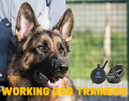 Working Dog Trainers